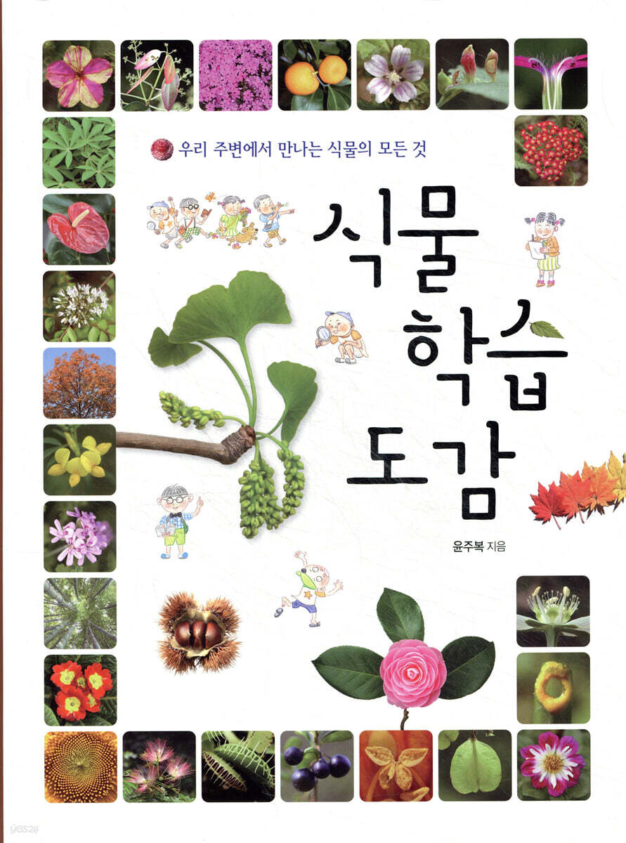 식물 학습 도감