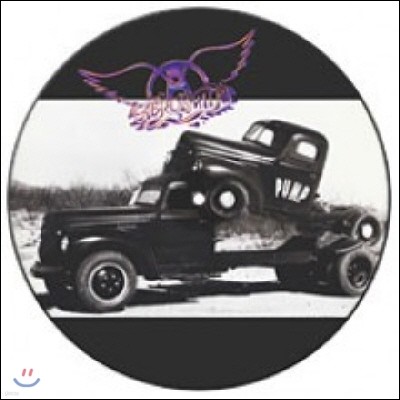 Aerosmith - Pump (Back To Black Limited Picture LP)