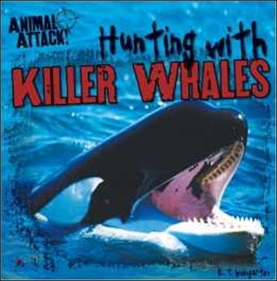 Hunting with Killer Whales