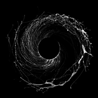 Dawn Of Midi — Dysnomia 앨범 커버