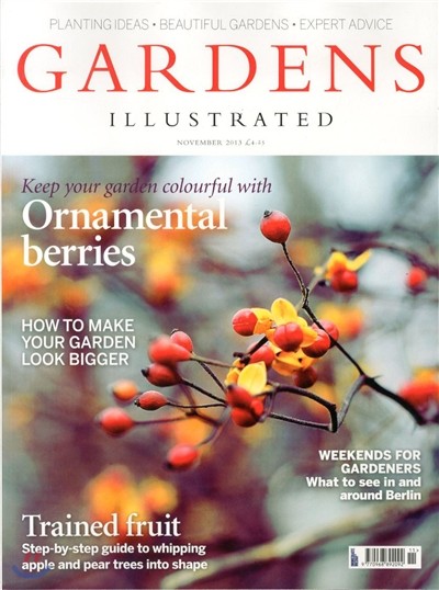 [ȣ] BBC Gardens Illustrated () : 2013 11