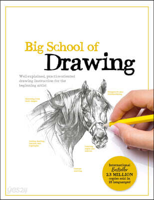 Big School of Drawing: Well-Explained, Practice-Oriented Drawing Instruction for the Beginning Artist