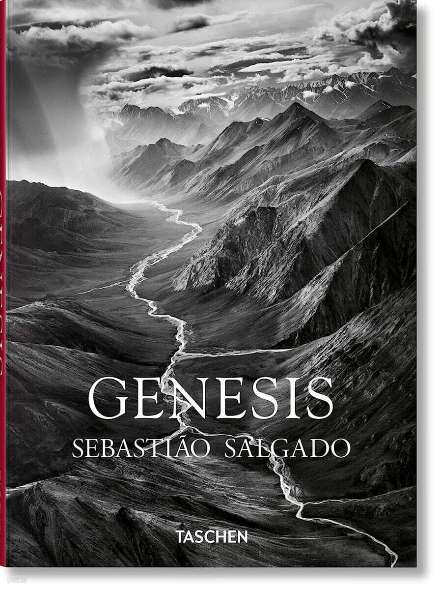 Sebastiao Salgado. Genesis