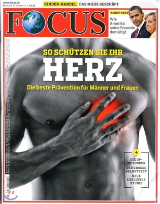 Focus (주간) : 2013년 10월 28일