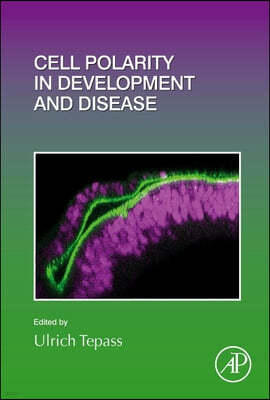 Cell Polarity in Development and Disease: Volume 154