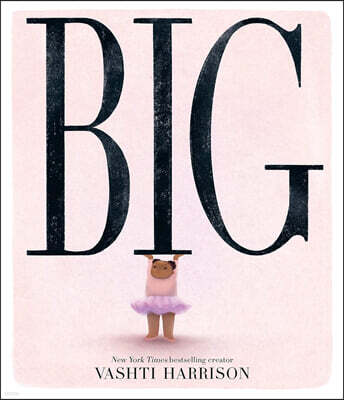 Big : 2024 칼데콧 수상작