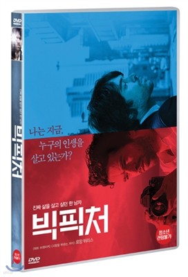 빅픽처(1Disc)