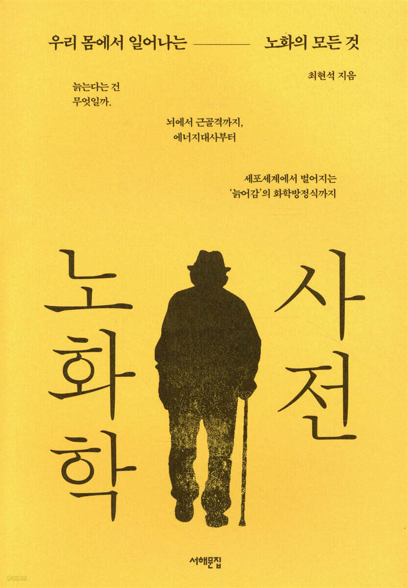 노화학 사전