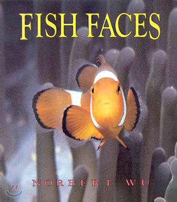 Fish Faces (Paperback)
