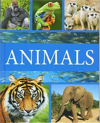 Animals