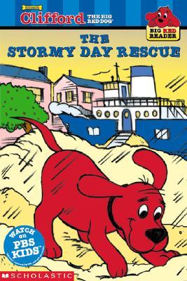 The Stormy Day Rescue (Paperback)