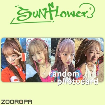 [새상품/A 포토카드] 최유정 Sunflower (KTOWN4U)