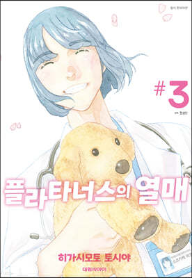 플라타너스의 열매 3