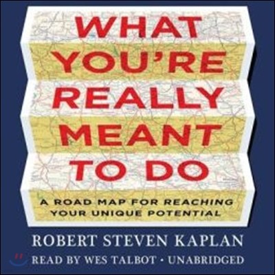 What You're Really Meant to Do Lib/E: A Road Map for Reaching Your Unique Potential