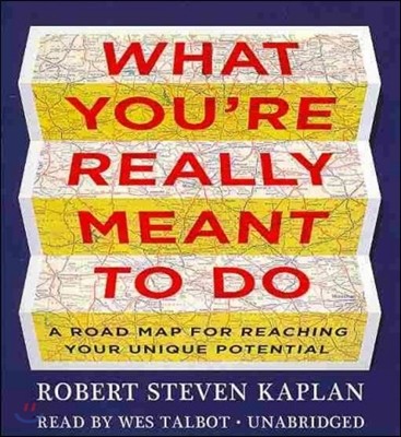 What You Re Really Meant to Do: A Road Map for Reaching Your Unique Potential