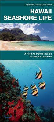 Hawaii Seashore Life: A Folding Pocket Guide to Familiar Plants and Animals