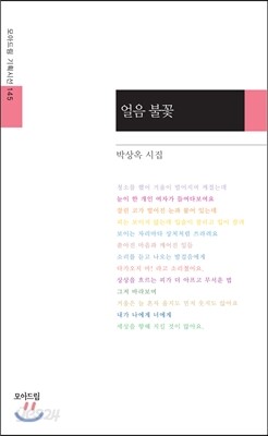 얼음 불꽃
