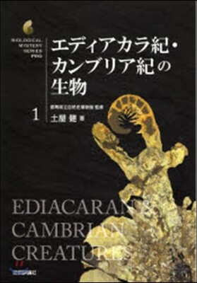 エディアカラ紀.カンブリア紀の生物