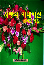 사랑의 카네이션