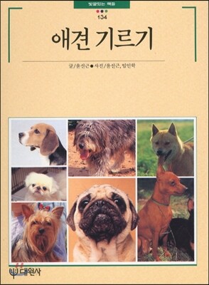 애견 기르기