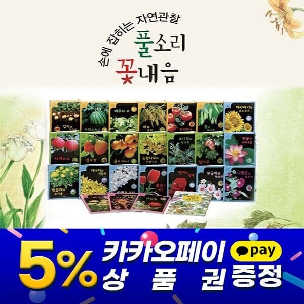 풀소리 꽃내음/본책 24권 - YES24