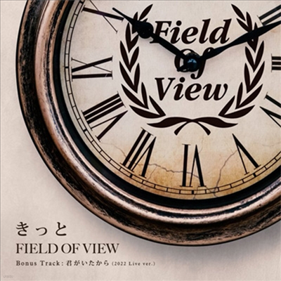 Field Of View (ʵ  ) - ê (CD)