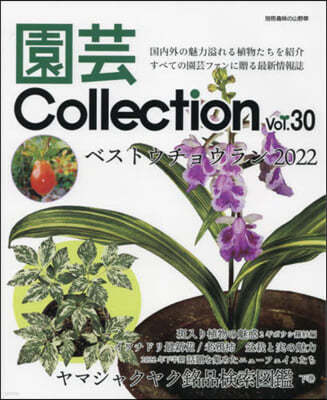 Collection Vol.30 