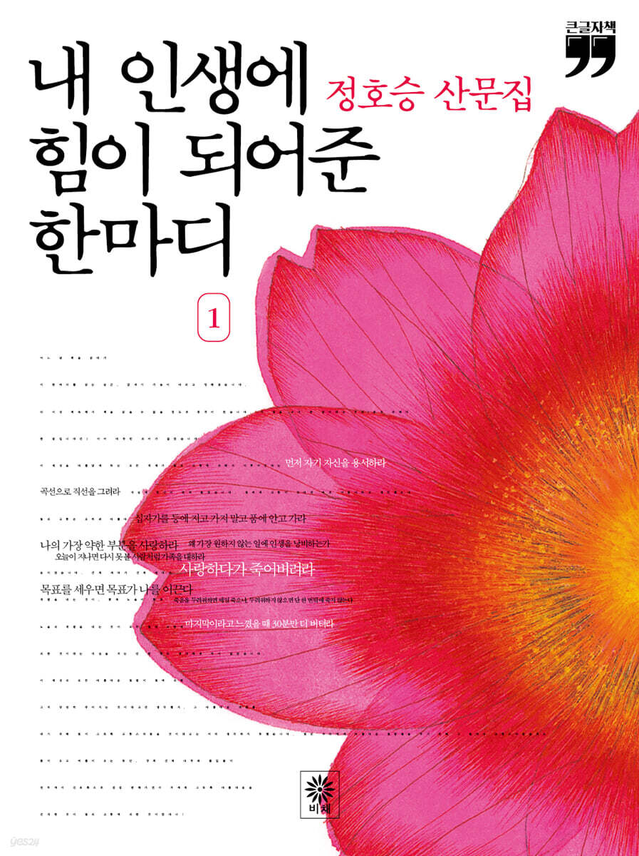 내 인생에 힘이 되어준 한마디 1 (큰글자책)