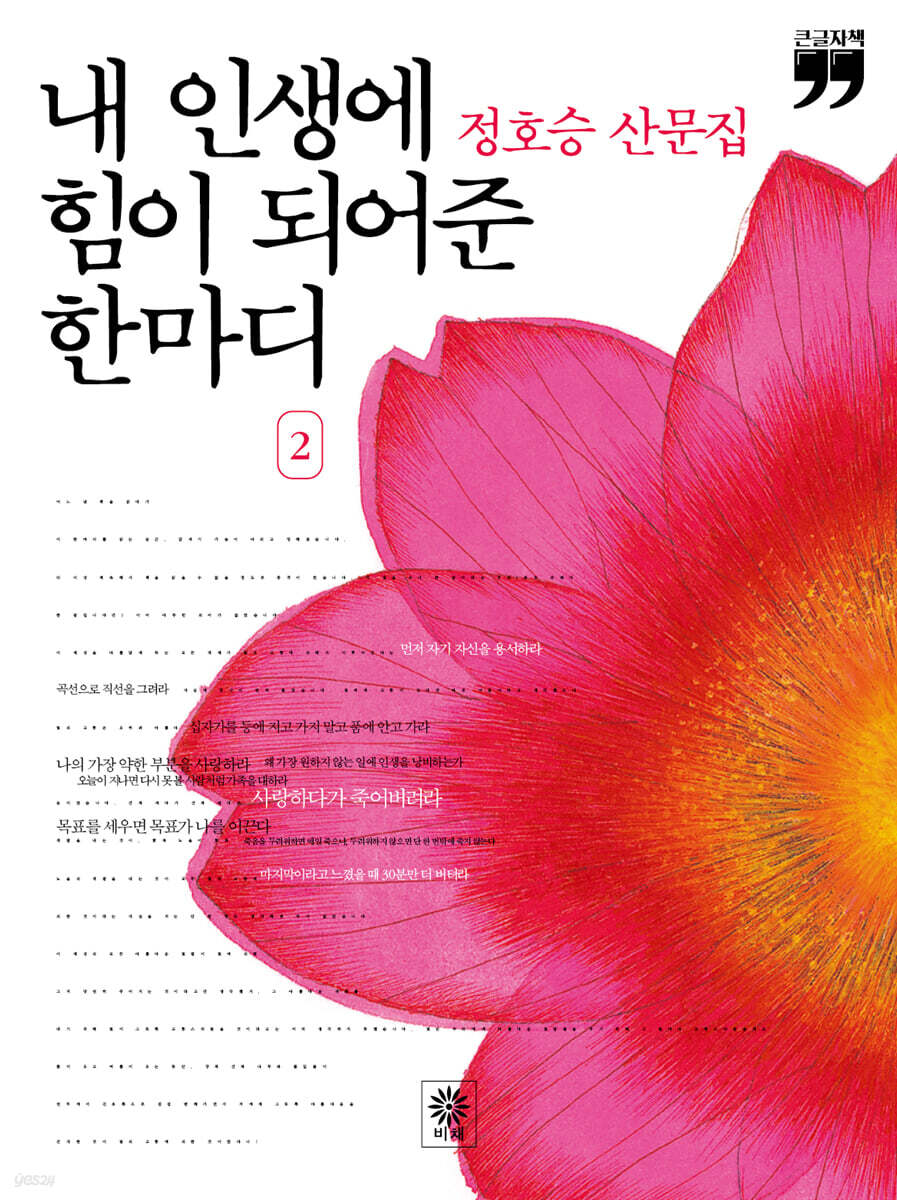 내 인생에 힘이 되어준 한마디 2 (큰글자책)