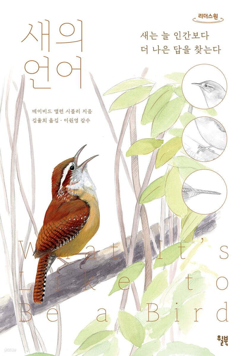 새의 언어 (큰글자도서)