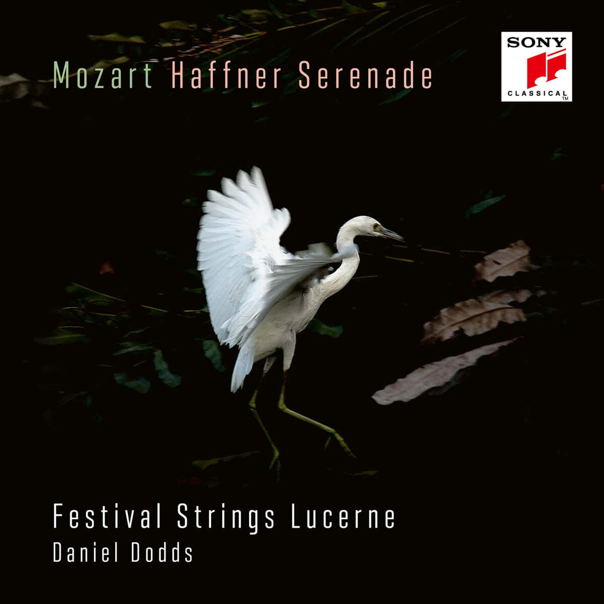Daniel Dodds 모차르트: 하프너 세레나데, 행진곡 (Mozart: Haffner-Serenade KV 250 &amp; Marsch KV 249)