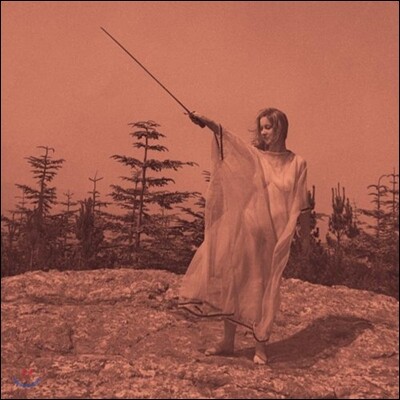 Unknown Mortal Orchestra — II 앨범 커버