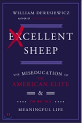 Excellent Sheep