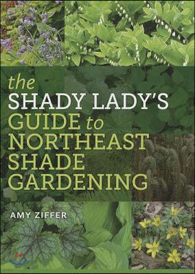 The Shady Lady's Guide to Northeast Shade Gardening