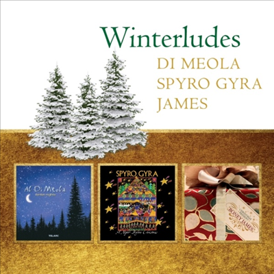 Al Di Meola/Boney James/Spyro Gyra - Winterludes (3CD)