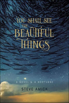 You Shall See the Beautiful Things: A Novel & a Nocturne