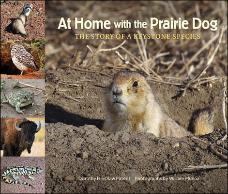 At Home with the Prairie Dog: The Story of a Keystone Species