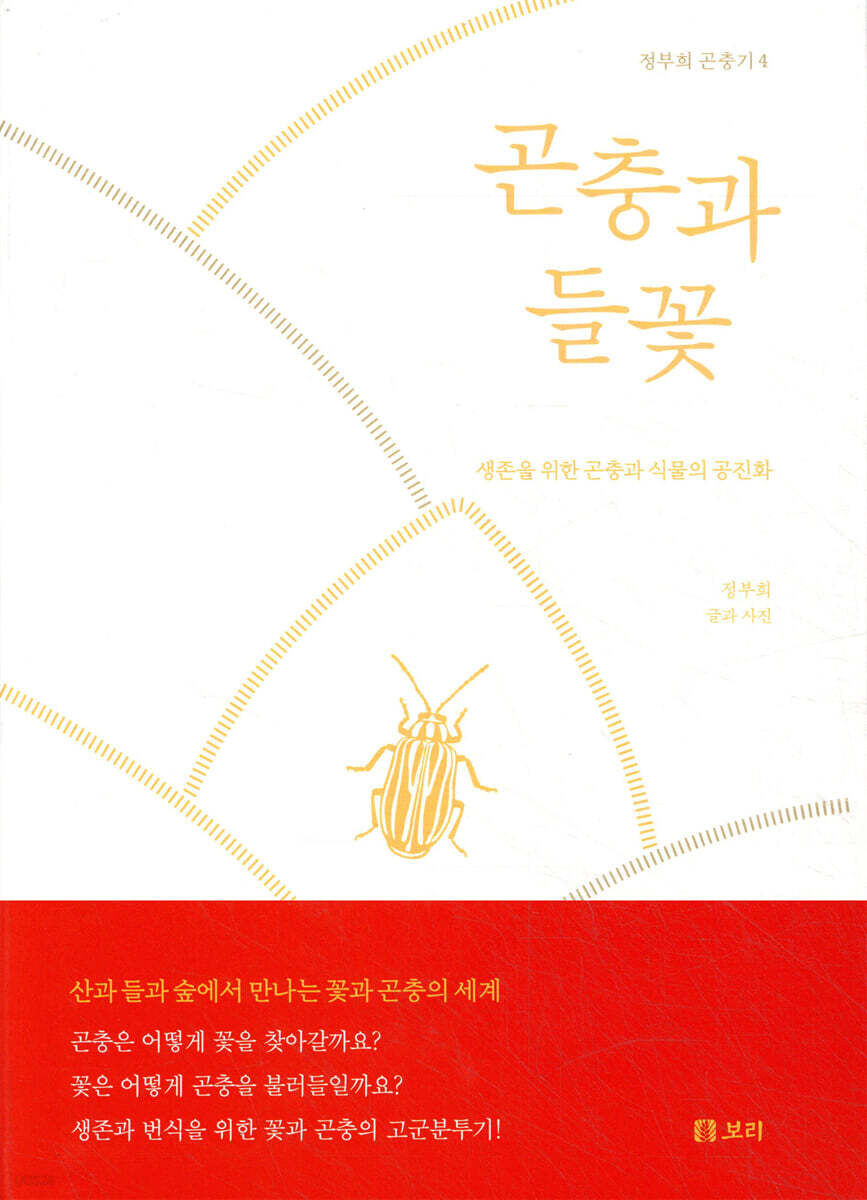 곤충과 들꽃
