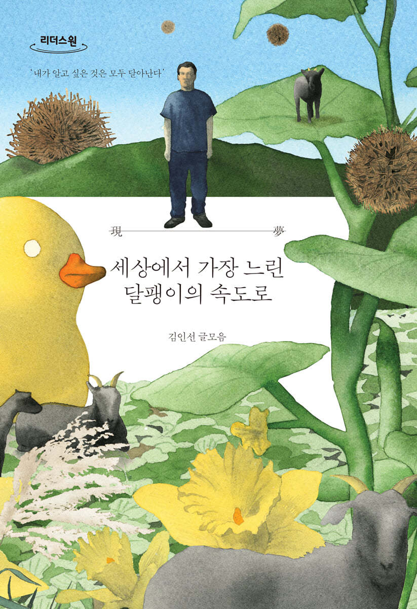 세상에서 가장 느린 달팽이의 속도로 (큰글자도서)