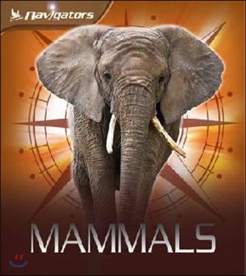 Navigators: Mammals