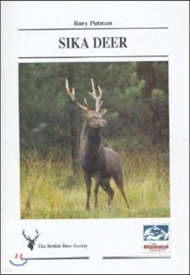 Sika Deer