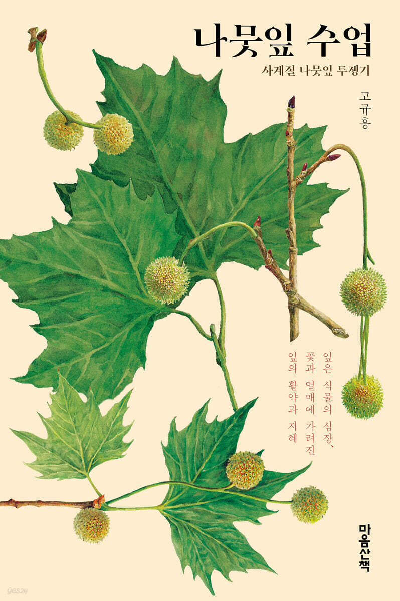 나뭇잎 수업 (큰글자도서)