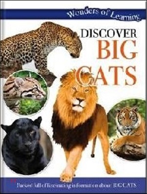 Wonders of Learning: Discover Big Cats