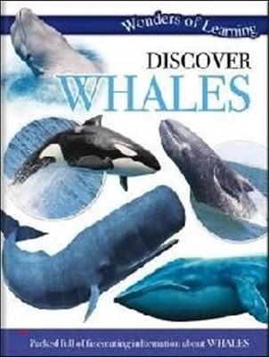 Wonders of Learning Discover Whales