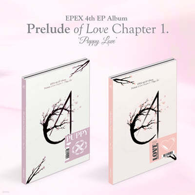 EPEX - 미니앨범 4집 : 사랑의 서 Chapter 1. Puppy Love [버전 2종 중 1종 랜덤 발송]