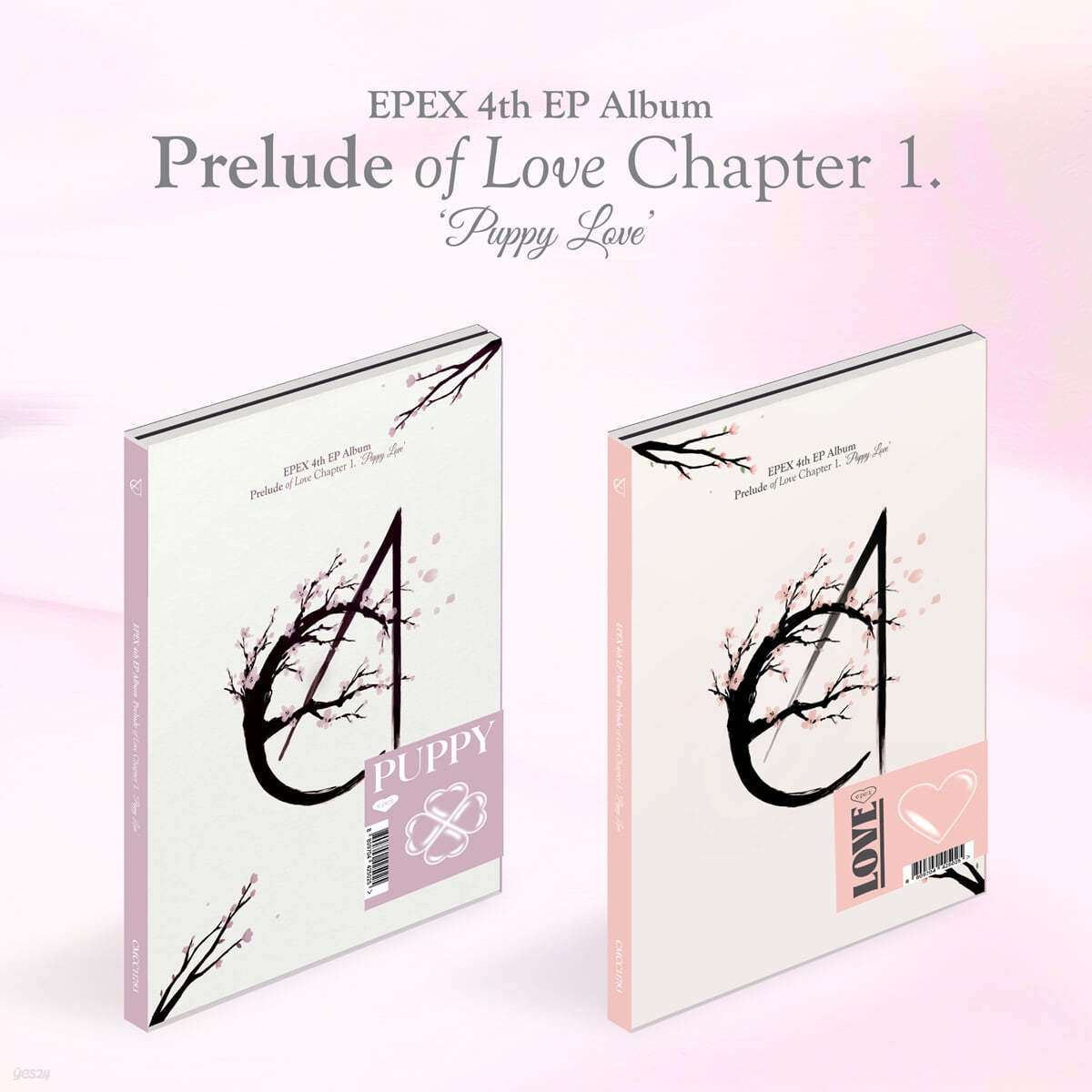 EPEX - 미니앨범 4집 : 사랑의 서 Chapter 1. Puppy Love [버전 2종 중 1종 랜덤 발송]