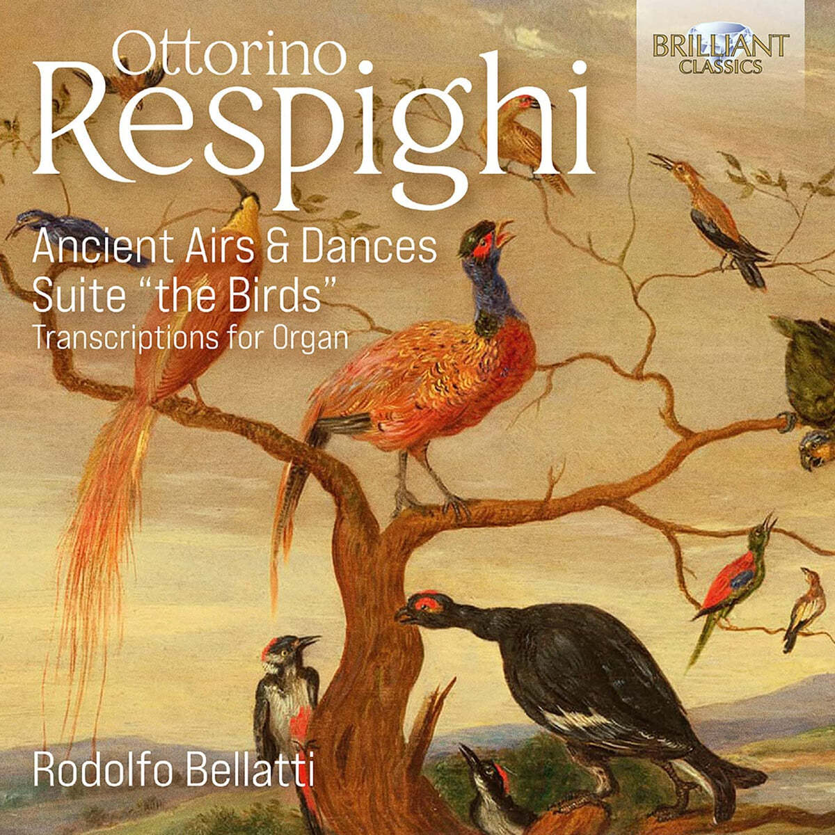 Rodolfo Bellatti 레스피기: 고풍스러운 아리아와 춤곡, 모음곡 ‘새’ (Respighi: Transcriptions For Organ)