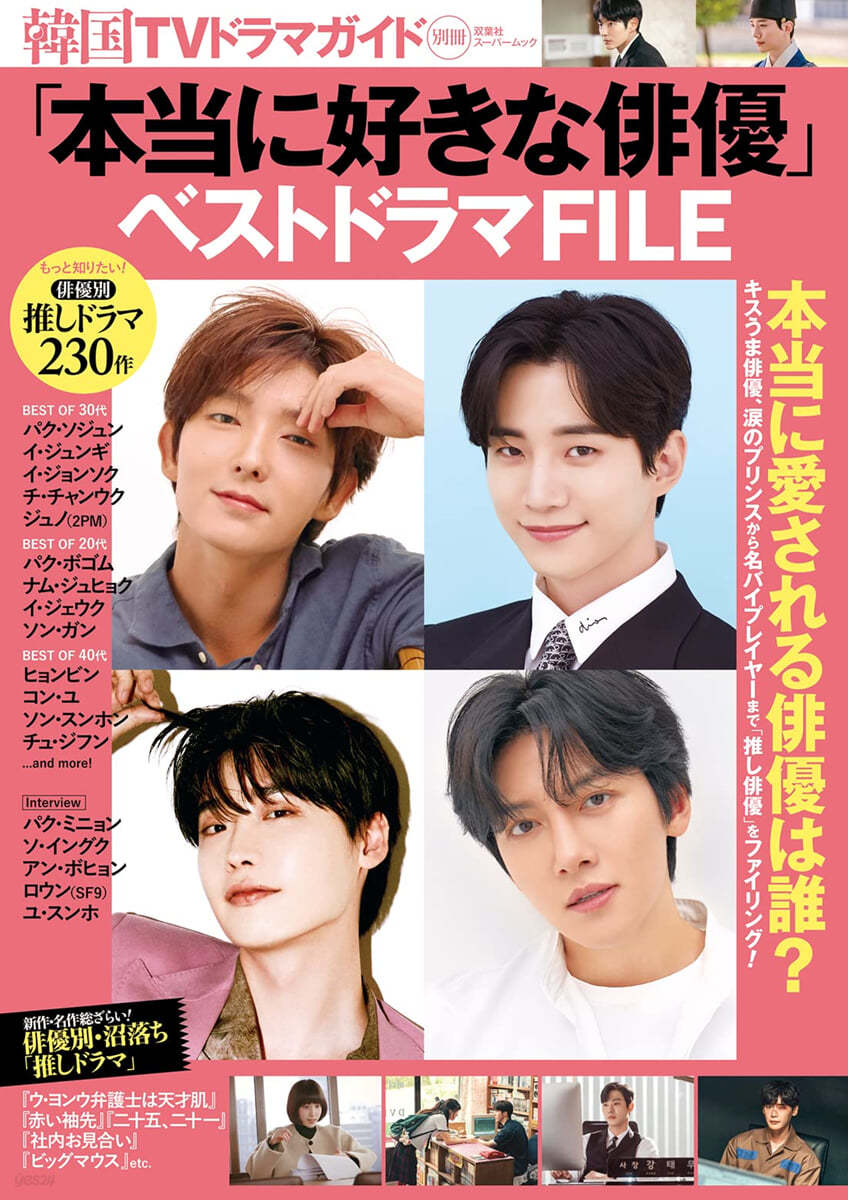 韓國TVドラマガイド別冊「本當に好きな俳優」ベストドラマFILE