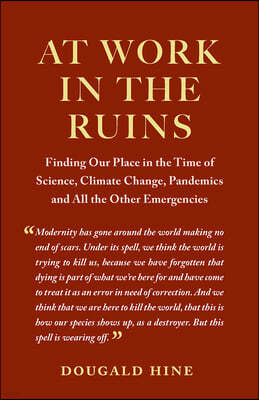 At Work in the Ruins: Finding Our Place in the Time of Science, Climate Change, Pandemics and All the Other Emergencies