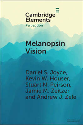 Melanopsin Vision